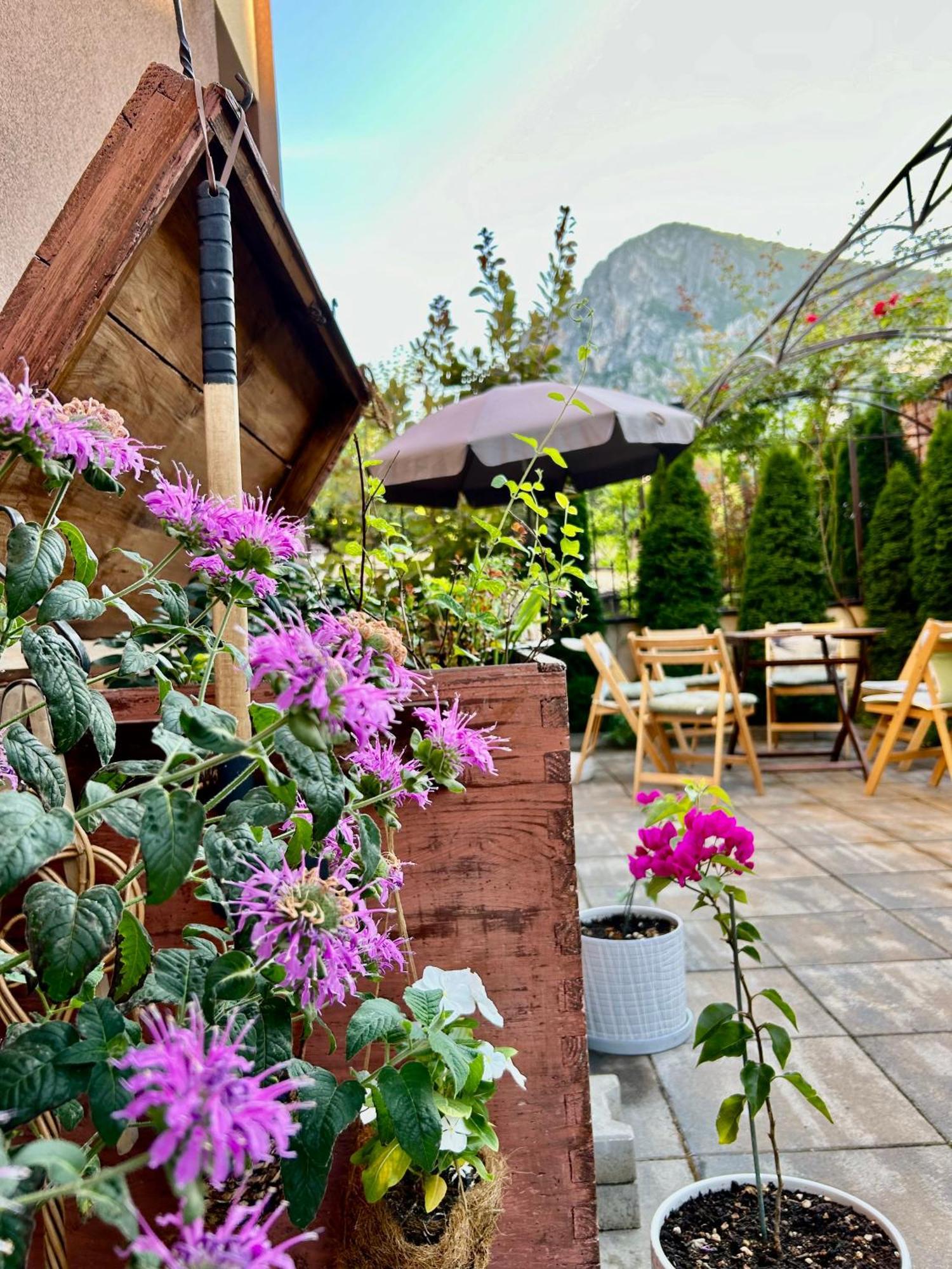 Comfort Luxury Apartments Vratsa Exterior foto